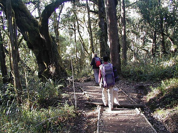 Final Day, Kilimanjaro Trek, Tanzania