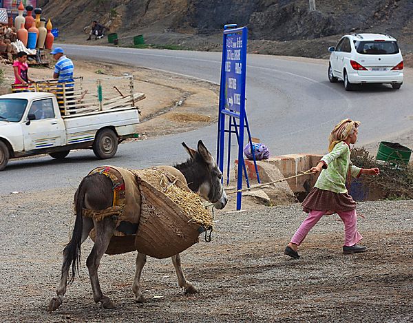 Girl With Donkey