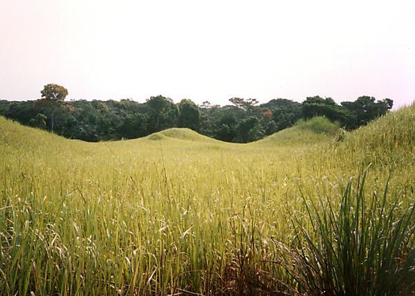 Landscape Scenery