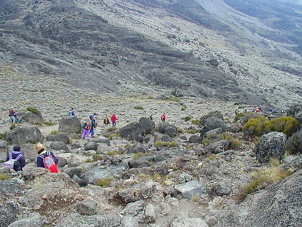 Machame Route, Kilimanjaro Climb, Tanzania