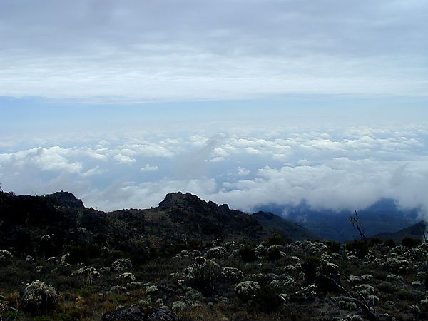 Machame Route,  Kilimanjaro, Tanzania