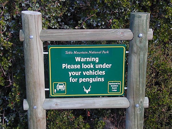 Penguin Warning Sign, South Africa