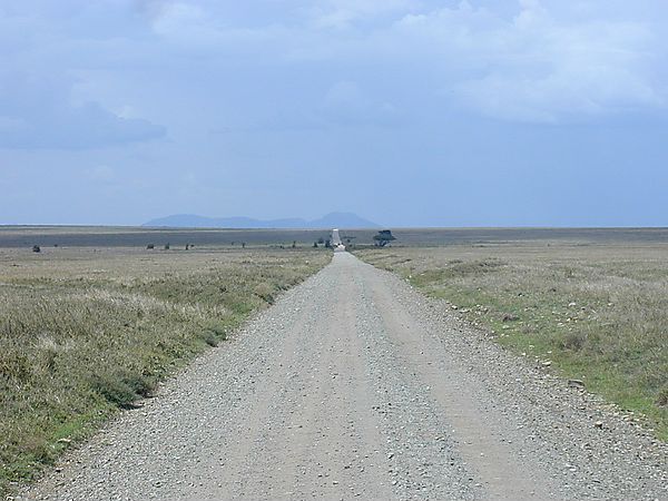 Road To Serengeti, Tanzania