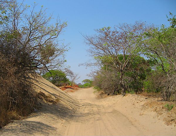 Sandy Road