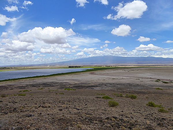 Scenery in Amboseli
