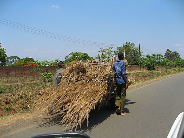 Transporting Grass