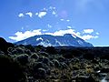 Kilimanjaro Mountain From Shira Camp, Tanzania