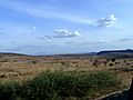 Landscape Scene, Tanzania