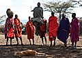 Maasai warrior doing the jump dance