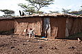 Masai House