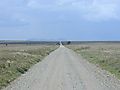 Road To Serengeti, Tanzania