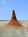 Very High Termite Mound In Namibia