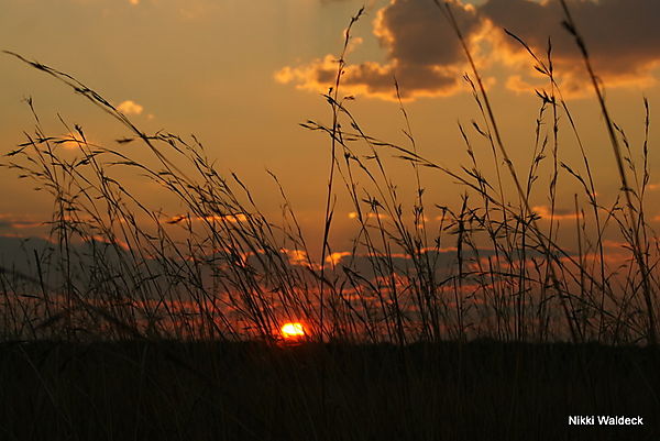 Another Beautiful African Sunset