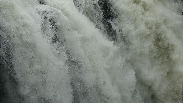 The Might Zambezi