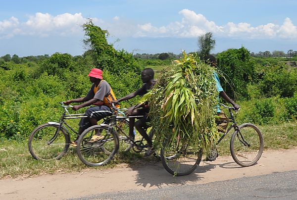 bikes with grass - at least dont have to carry it