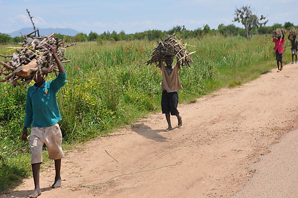 Carrying Firewood