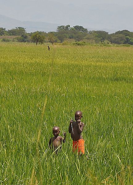 children in the fields