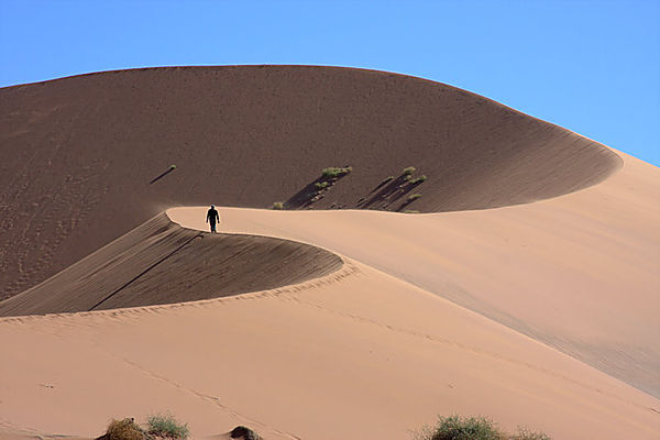 The Dune At Sossusvlei