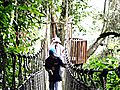 Kakum National Park Canopy Walkway.
