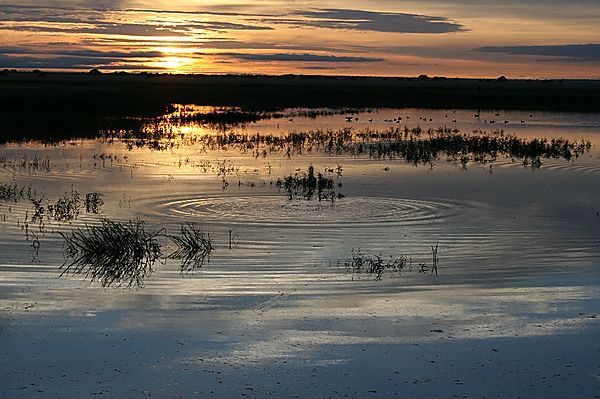 Sunrise Over A Storm Water Dam