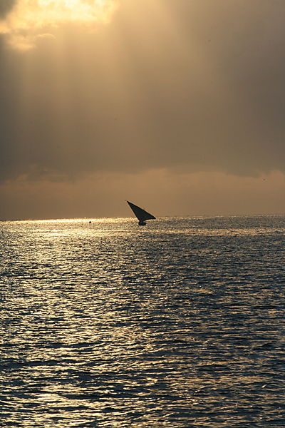 Sunrise over harbour