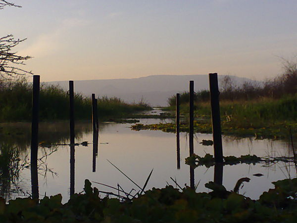 Baringo