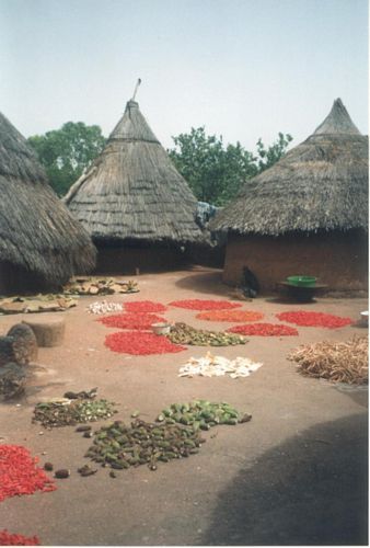 Drying Food On The Roof Of A Tata Somba House