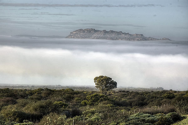 Fog Over The Verloren Vallei, Lamberts Bay, South Africa