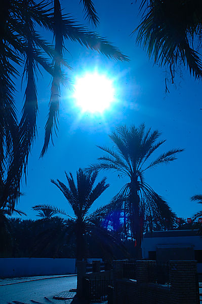 Rue De Tozeur Tunisia