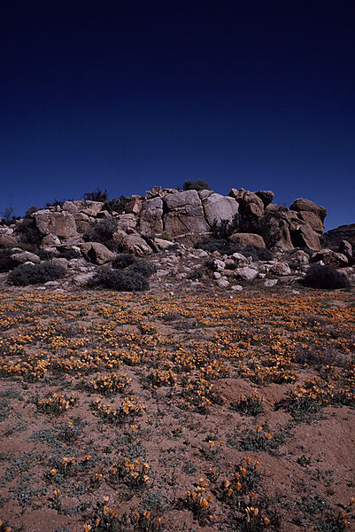 Goegap Nature Reserve