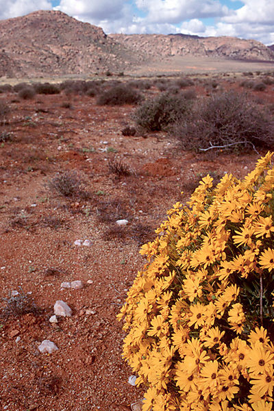 Goegaph Nature Reserve