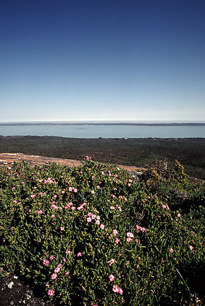 Langebaan Lagoon