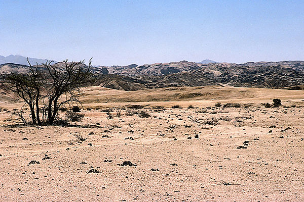 One Of The Varied South West African Landscapes