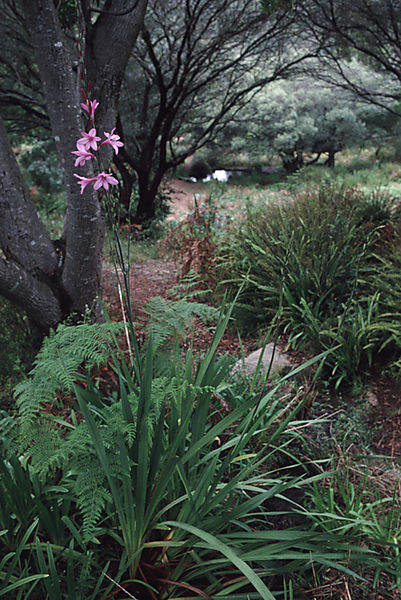 Paarl Mountain Nature Reserve