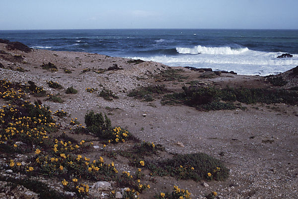 South Africa coast