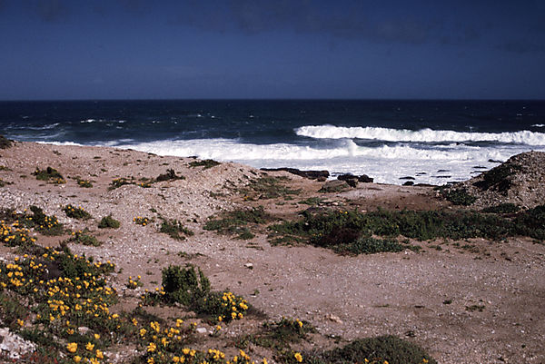 South Africa coast