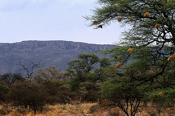 Waterberg Plateau