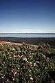 Langebaan Lagoon