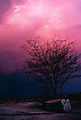 Storm Sunset