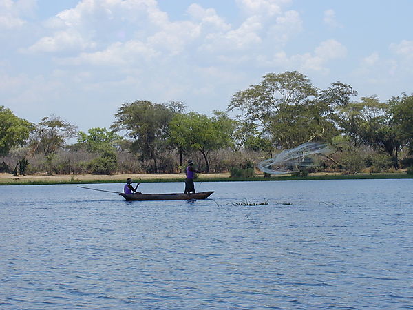 Casting Fishing Net From Dugout Canoe, Shire River