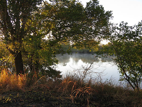 Dawn On The Lufupa River