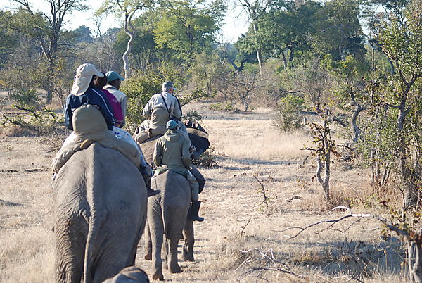 Riding Thru The Bush