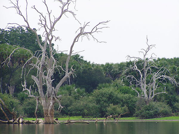 Rufigi River