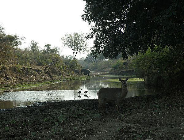 Waterhole