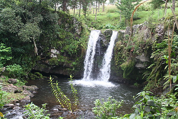 Water Fall