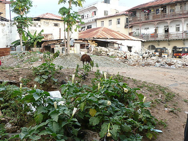 View Of Old Town.