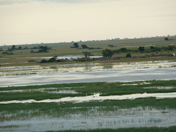 View Of The Chobe River