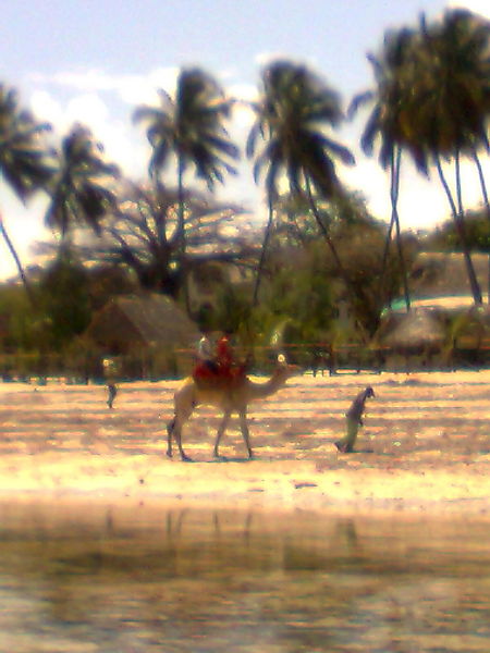 Beach Scene-north Coast