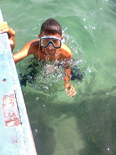 Coral Diving