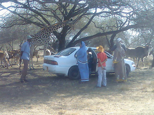 Nguni Nature Sanctuary